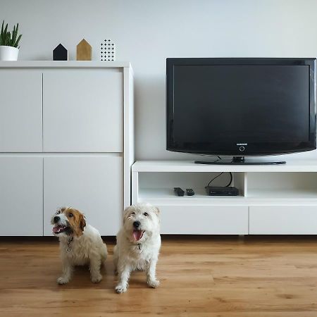 Uroczy Apartament Pod Skarpa Wadowice Buitenkant foto